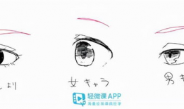 漫画眉毛,漫画眉毛的艺术魅力